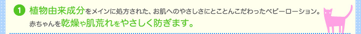 ʪͳʬᥤ˽줿٥ӡ